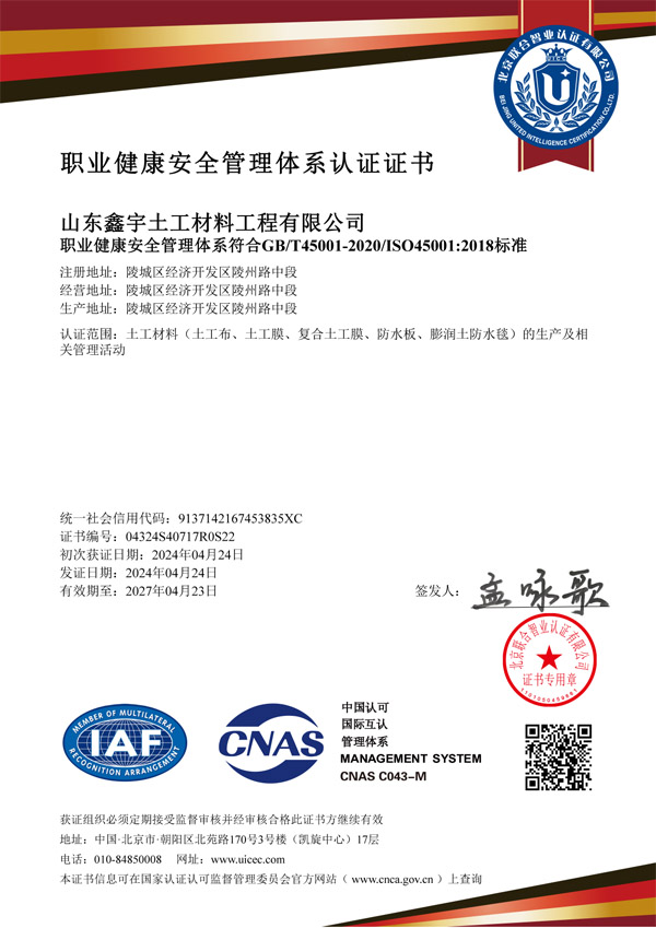 職業(yè)健康安全管理體系認證證書中文證書.jpg